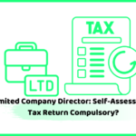 company director self-assessment