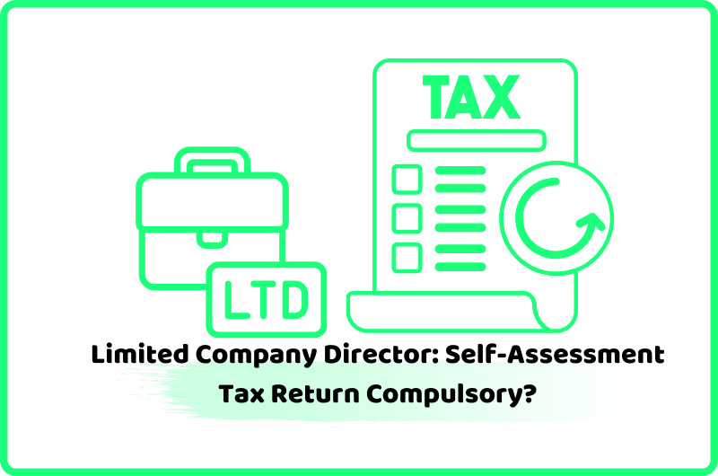 company director self-assessment